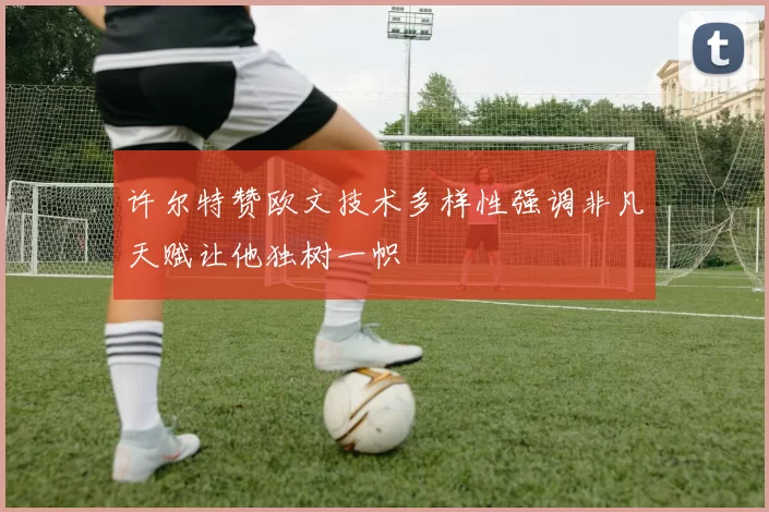 许尔特赞欧文技术多样性强调非凡天赋让他独树一帜