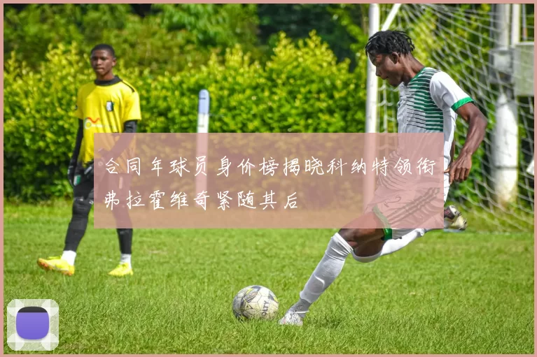 合同年球员身价榜揭晓科纳特领衔弗拉霍维奇紧随其后